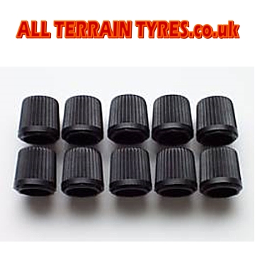 Plastic Tyre Valve Dust Caps (100) - Click Image to Close